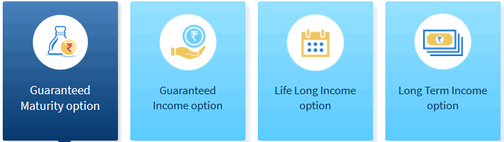 4 variant option of HDFC Life Sanchay Plus Policy