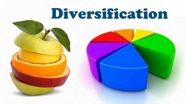 Diversified portfolio