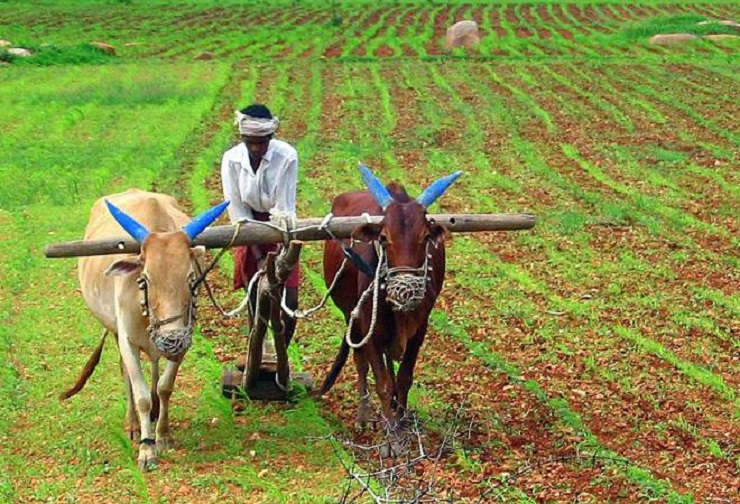 agricultural income is exempted from tax