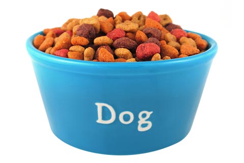 dog food at home