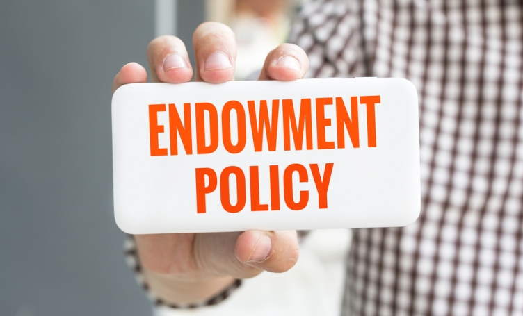 endowment policy