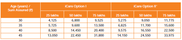 ICare term plan 