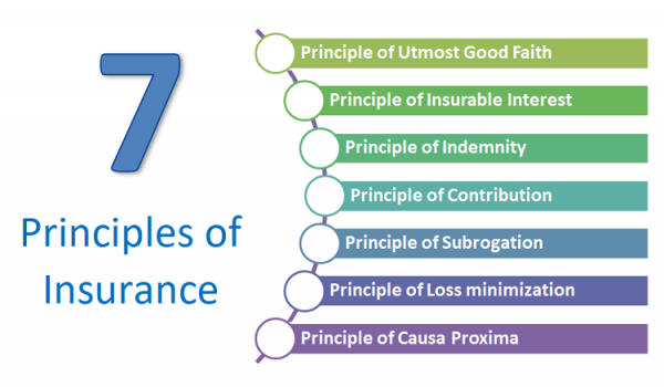 basic principles of insurance contract