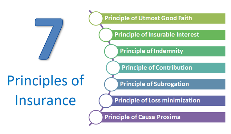 principles of insurance with real life examples